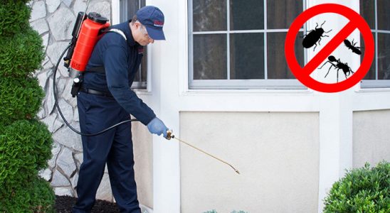 Yenifoça Kemirgen İlaçlama böcek ilaçlama ve haşere kontrolü — ilaclama-tr.com